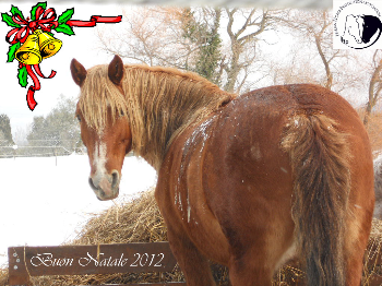 NATALE 2012