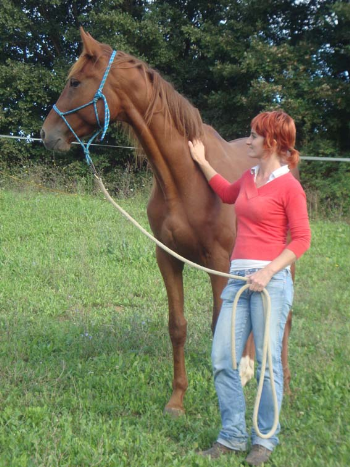 Sequestro Trequanda: altri due puledri adottati!