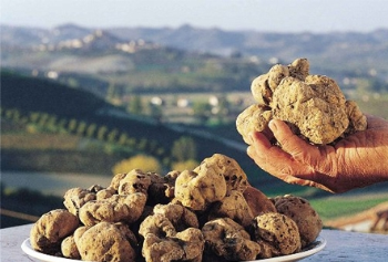 Stand IHP alla Festa del tartufo e dei prodotti tipici