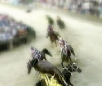 Palio di Siena: un�altra rovinosa caduta dei cavalli, ma tutti fanno finta di niente come al solito.