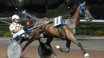 Ippica: morte di Palmaria, la risposta dell�Unire-Assi