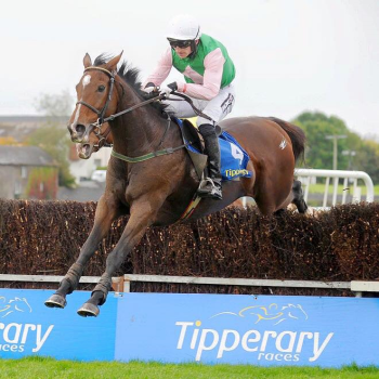 Merano: altri dettagli sulla caduta mortale di Perfect Gentleman e su quanto avvenuto dopo [VIDEO]