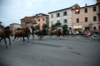 Ronciglione: le incredibili dichiarazioni degli organizzatori