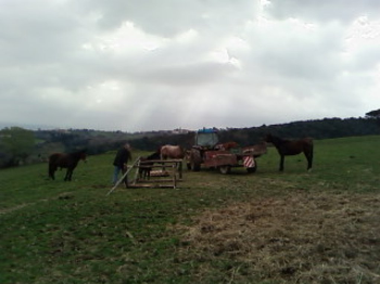 Lavori di manutenzione a Filicaja – marzo 2010