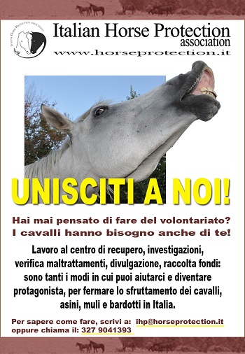 Entra in AZIONE anche tu!