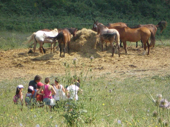 Sostieni IHP, ti raccontiamo perch�: 3 � l�impegno scientifico