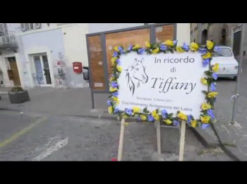 La targa in memoria di Tiffany