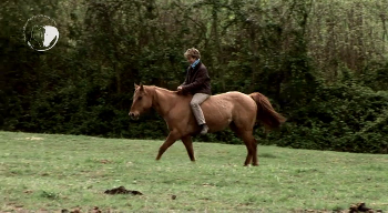 L�Anemia Infettiva Equina in Italia 