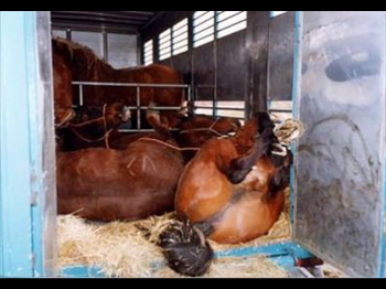 8hours, continua la raccolta firme: raggiunta quota 500�000!